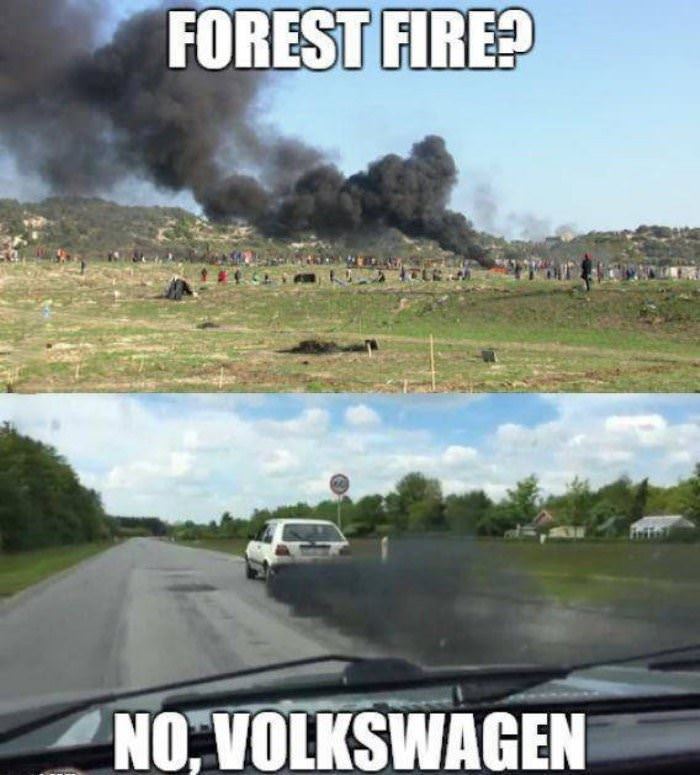 [Image: forest_fire_nope.jpg]
