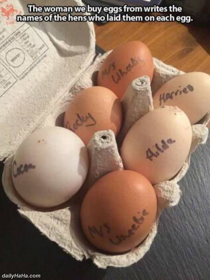 Names On Every Egg Daily Index