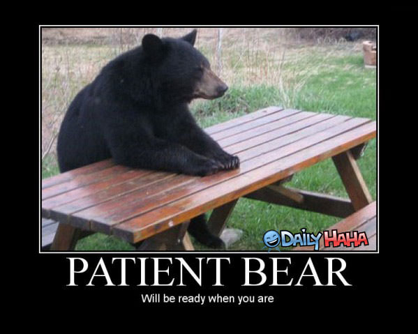 image: patient_bear