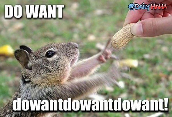 http://www.dailyhaha.com/_pics/squirrel_wants_bad.jpg