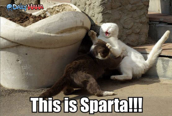 this_is_sparta_cats.jpg