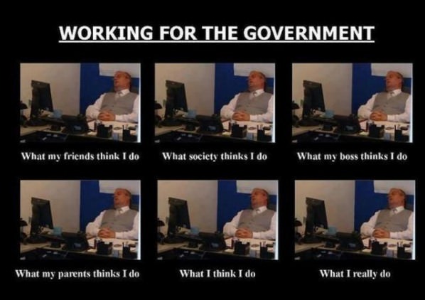 Government Employee