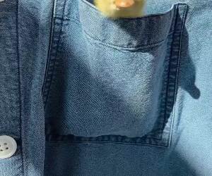 pocket ducky