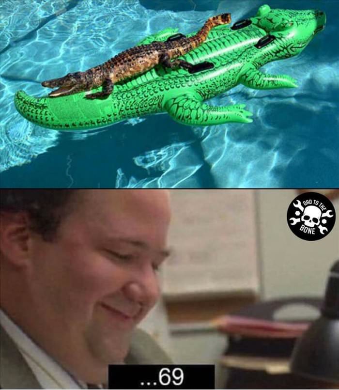 69 gator