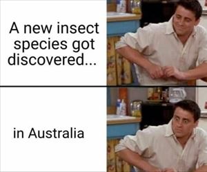 a new species