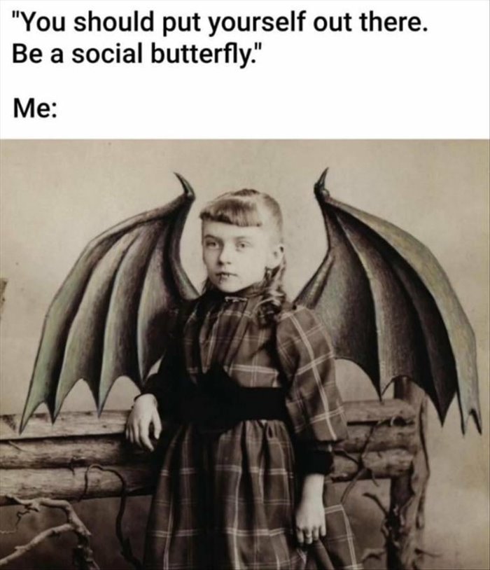 a social butterfly ... 2