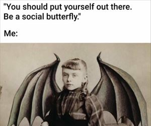 a social butterfly ... 2