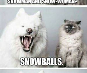 a snowman and a snowwoman funny picture