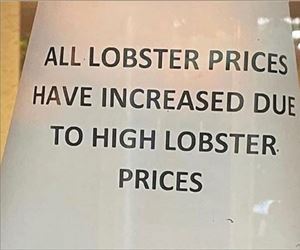 all lobster