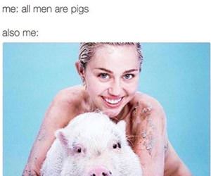 all men are pigs funny picture