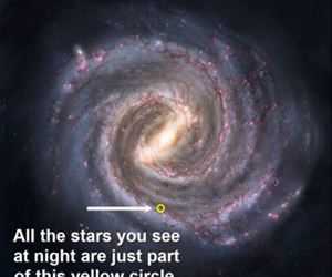 all the stars you can see funny picture