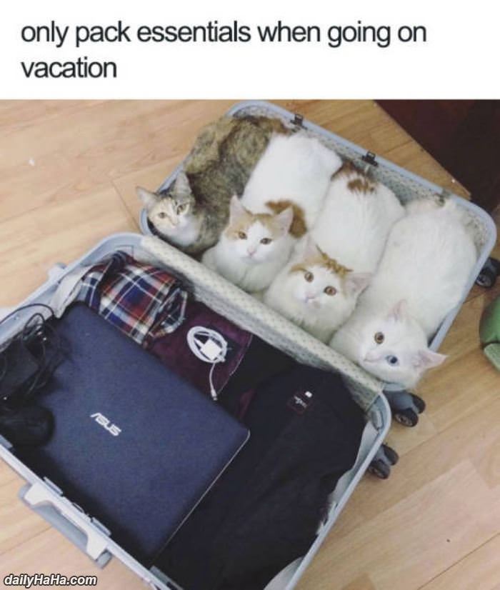 always pack essentials funny picture