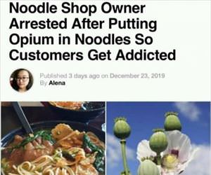 amazing noodles