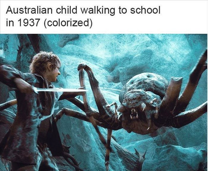 australian