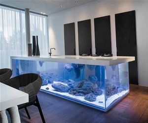 awesome kitchen island ocean funny picture