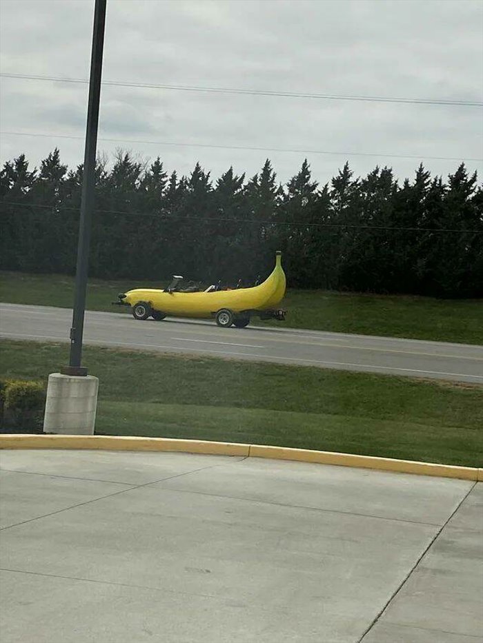 banana for scale ... 2