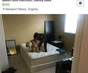 barely used mattress for sale funny picture