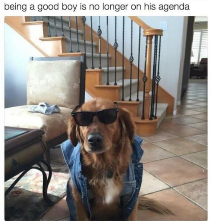 being a good boy