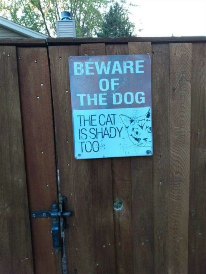 beware of the dog ... 2