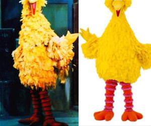 big bird has changed funny picture