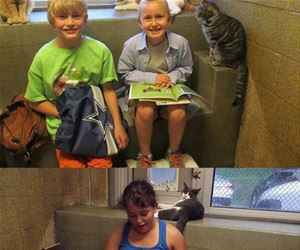 children reading to shelter animals funny picture