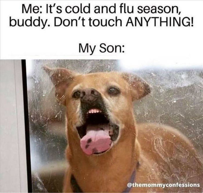 cold and flu season