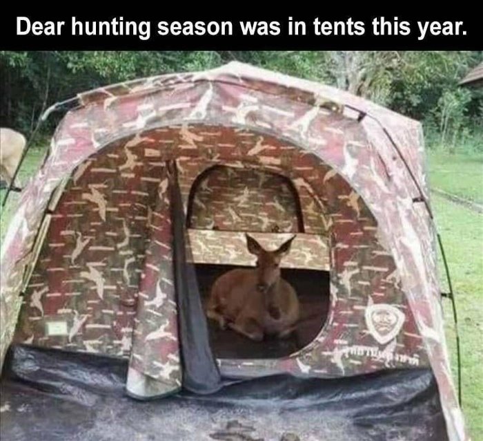 dear-hunting.jpg