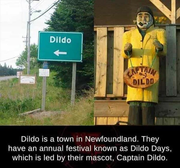 dildo