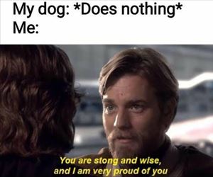 dog does nothing