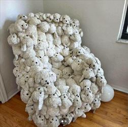 doggy chair