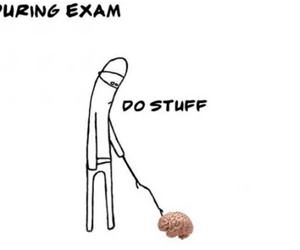 during an exam funny picture