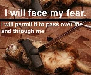 fear funny picture