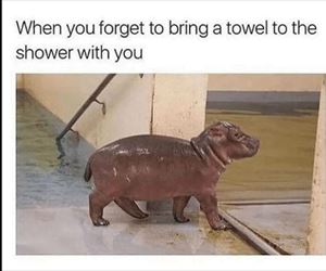 forgot the towel