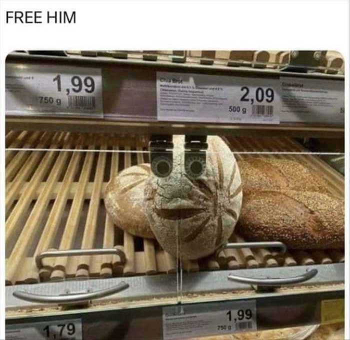 free him