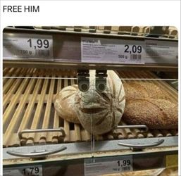 free him