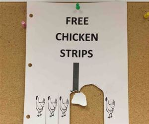 free chicken strips funny picture