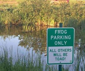 frog parking only