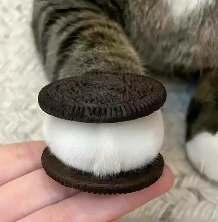 furry oreo