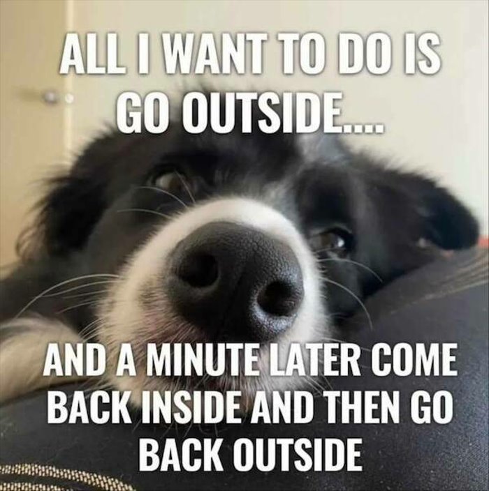 go outside