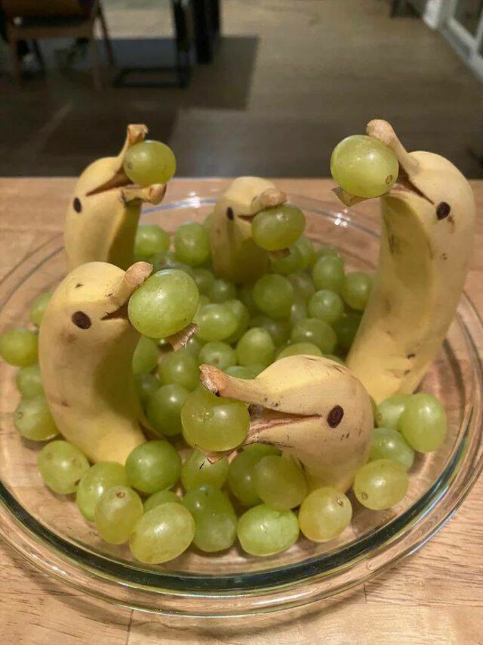 grapes party