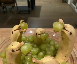 grapes party