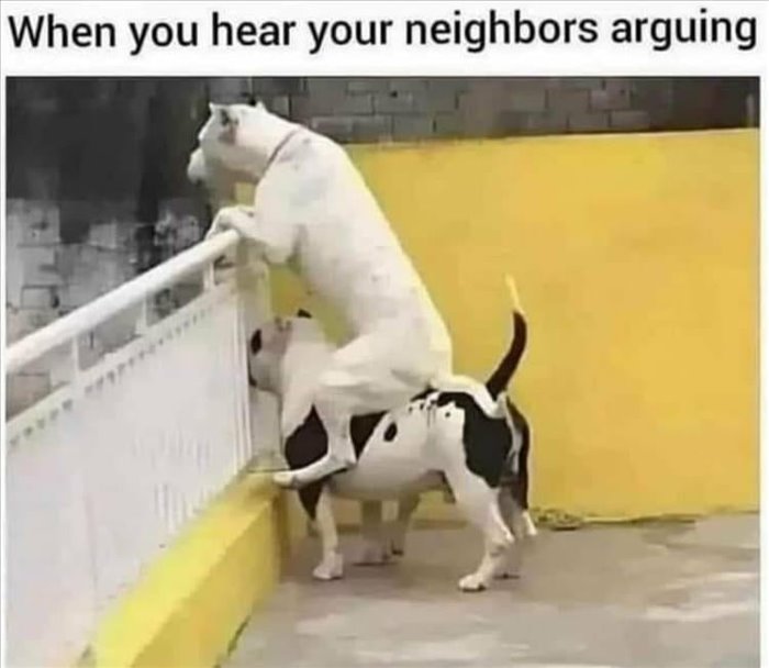 hear them arguing