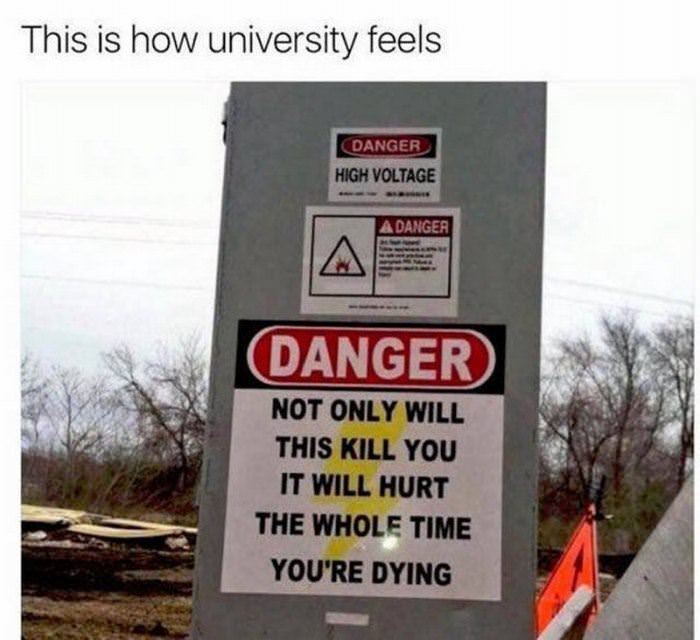 how university feels funny picture