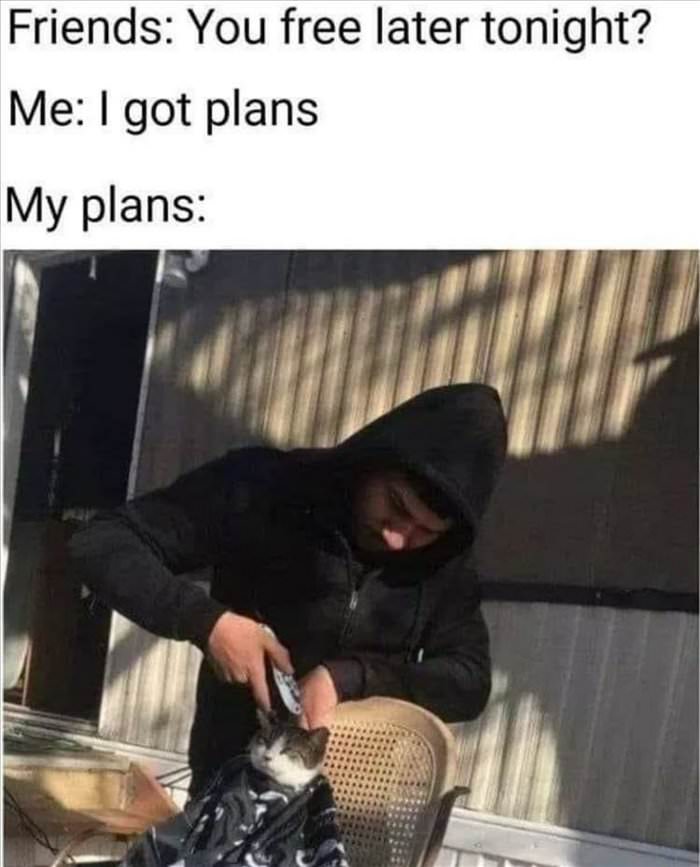 i got plans