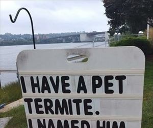 i have a pet