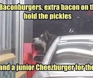 i need some burgers funny picture