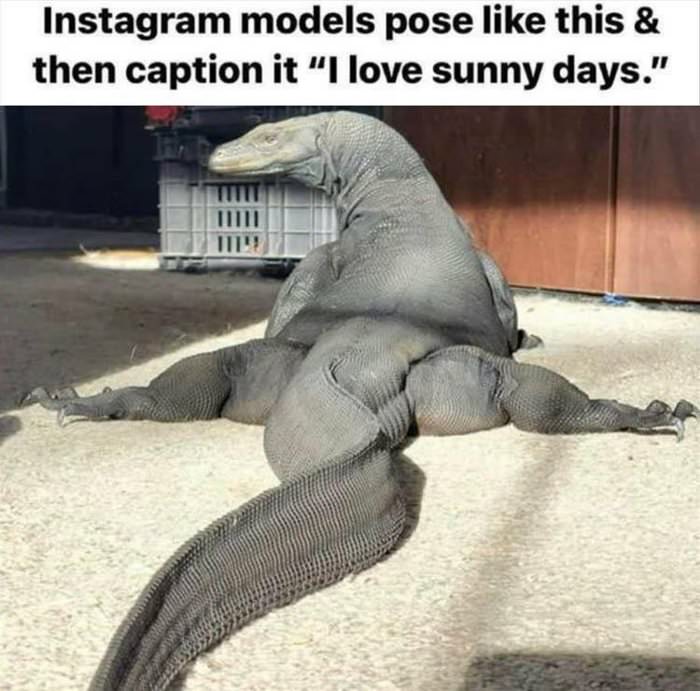 insta models