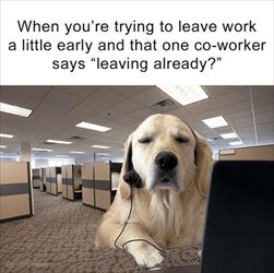 leave work