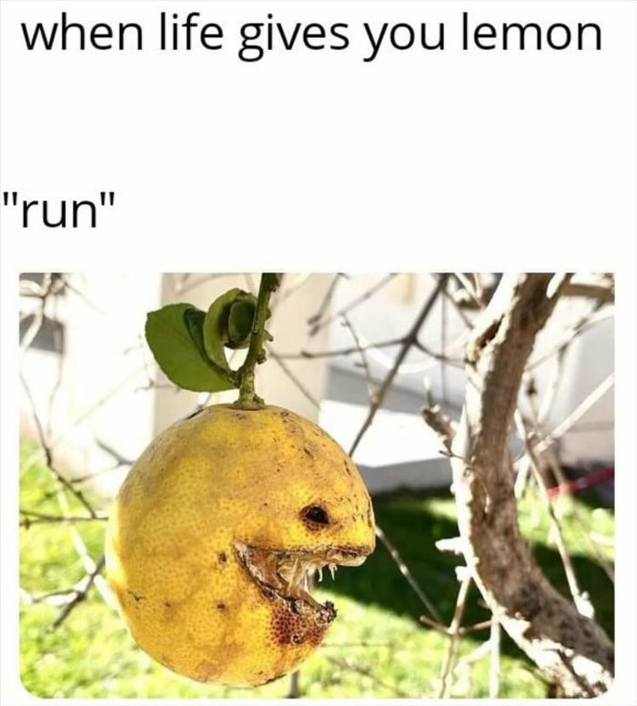 life gives you lemons ... 2