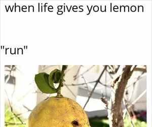 life gives you lemons ... 2